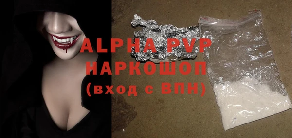 сатива Беломорск