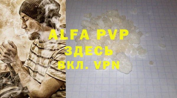 сатива Беломорск