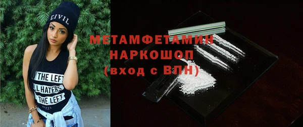 сатива Беломорск